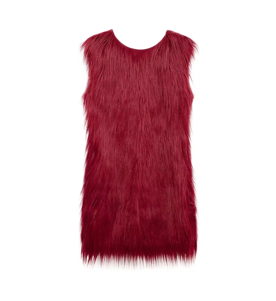 Amelia Fur Vesty Dress